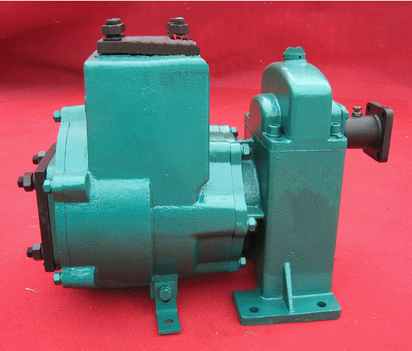 80SLZB-110洒水泵